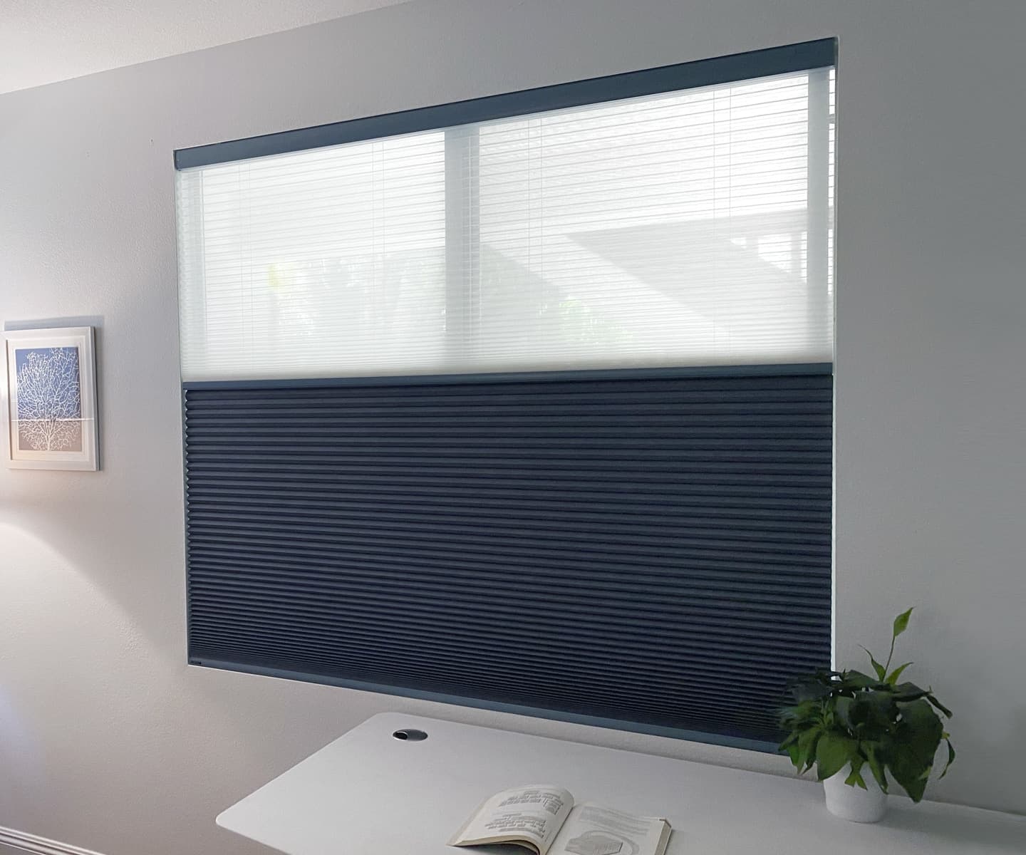 Day/night honeycomb cellular shade with a light-filtering sheer top and room-darkening navy bottom over a window in a Sarasota home by Sarasota Window Blinds