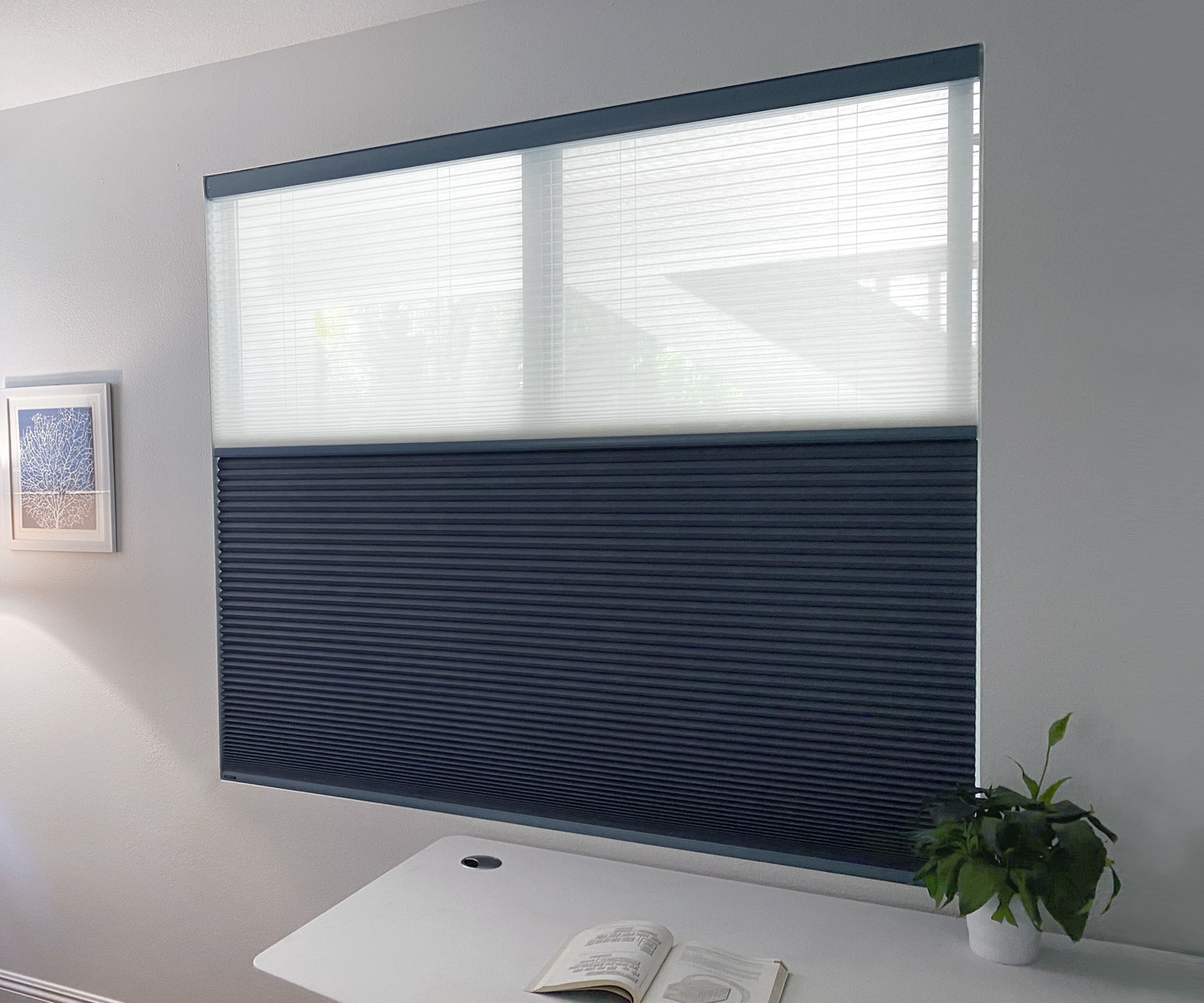 Day/night honeycomb cellular shade with a light-filtering sheer top and room-darkening navy bottom over a window in a Sarasota home by Sarasota Window Blinds